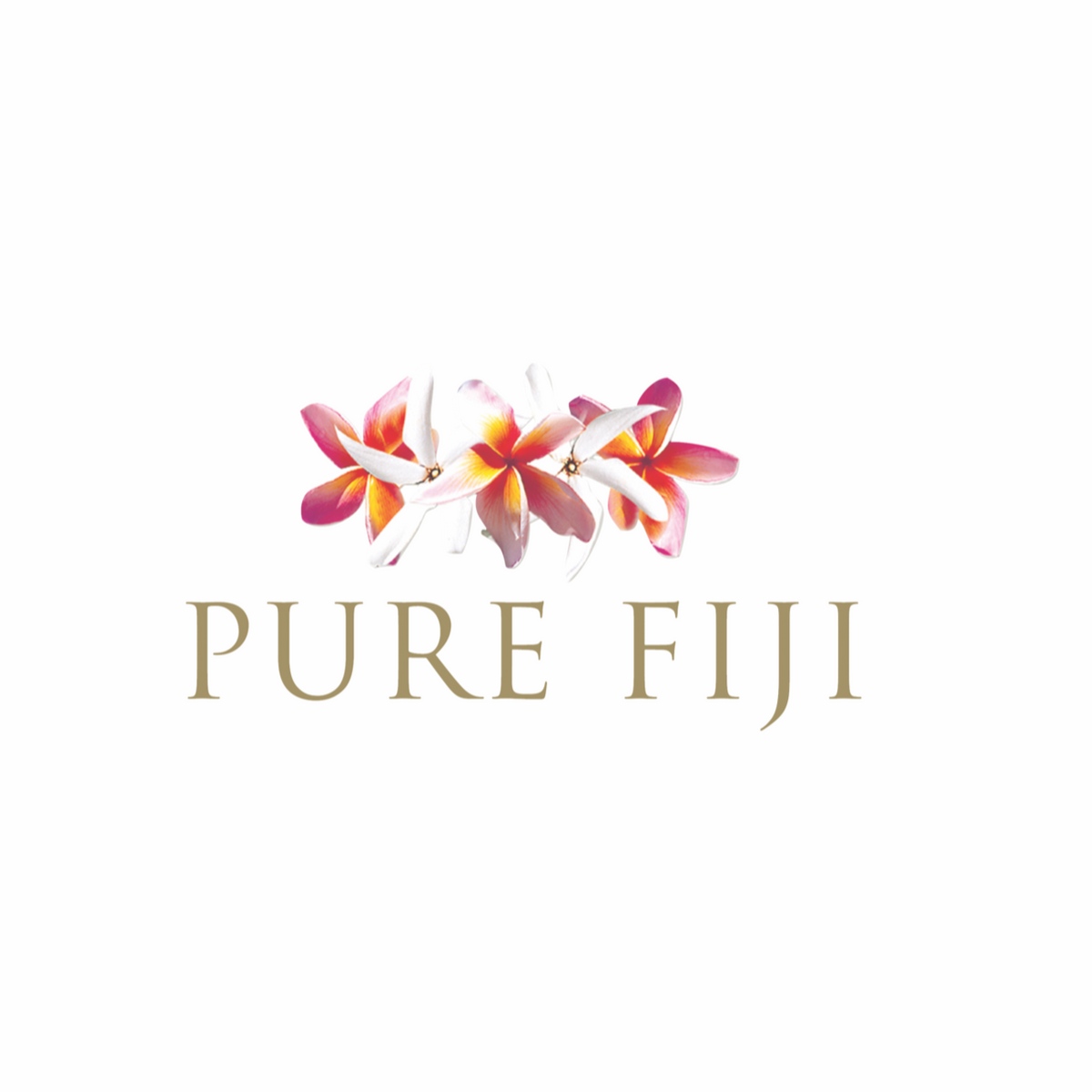 Coconut Milk Bath Soak (16oz/470ml) – Pure Fiji (US)