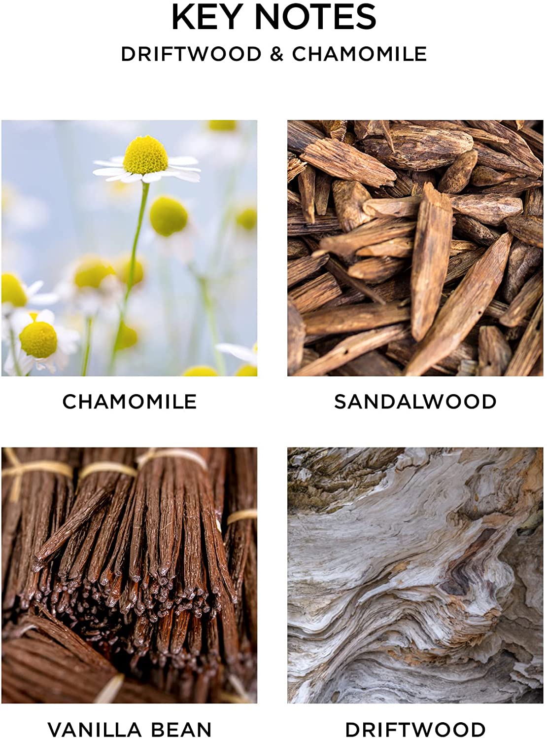 Nest Candle Classic Candle 8.1 oz