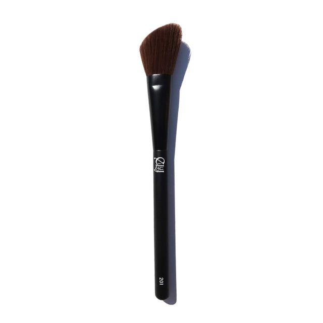 Eiluj Beauty Makeup Brushes 201 Makeup Brushes