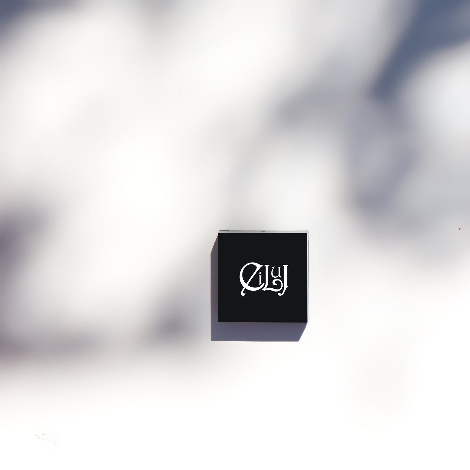 Eiluj Beauty Brow Brow Pomade