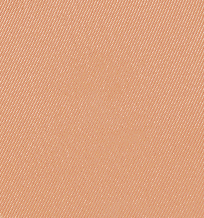 Eiluj Beauty Powder Foundation Adobe Beige Dual Powder Foundation