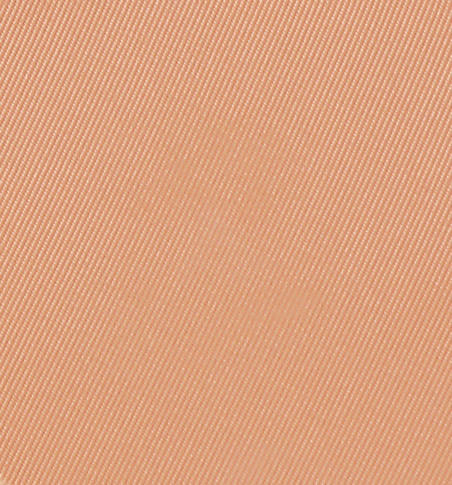 Eiluj Beauty Powder Foundation Adobe Beige Dual Powder Foundation