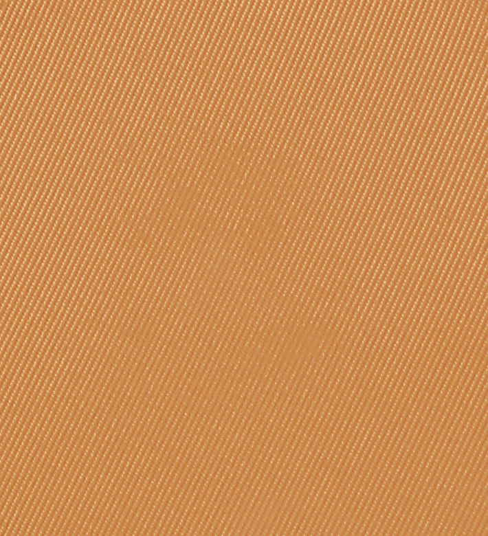 Eiluj Beauty Powder Foundation Artisan Tan Dual Powder Foundation