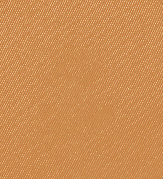 Eiluj Beauty Powder Foundation Artisan Tan Dual Powder Foundation