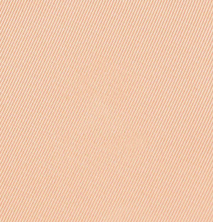 Eiluj Beauty Powder Foundation Beige Chiffon Dual Powder Foundation