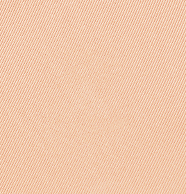 Eiluj Beauty Powder Foundation Beige Chiffon Dual Powder Foundation