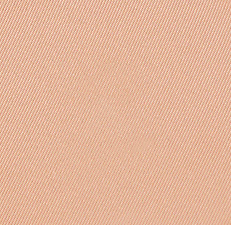 Eiluj Beauty Powder Foundation Beige Melange Dual Powder Foundation