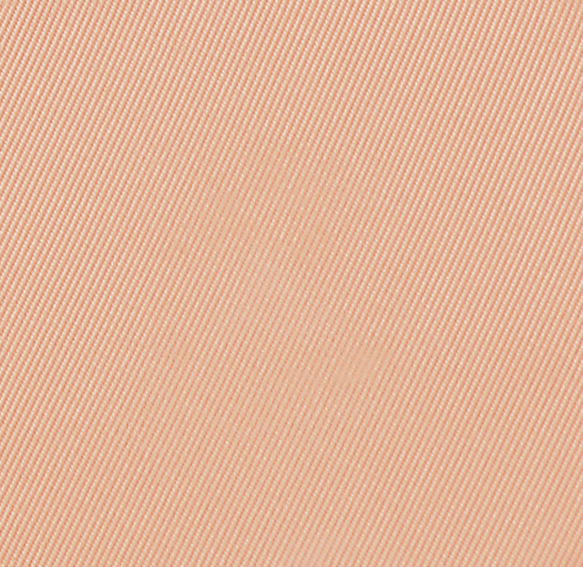 Eiluj Beauty Powder Foundation Beige Melange Dual Powder Foundation