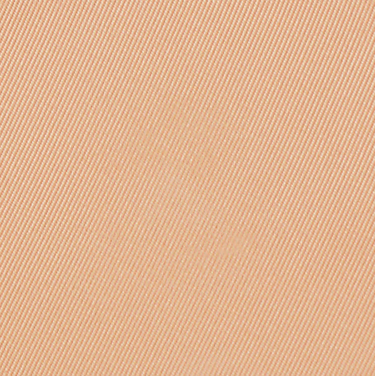 Eiluj Beauty Powder Foundation Beige Sole Dual Powder Foundation