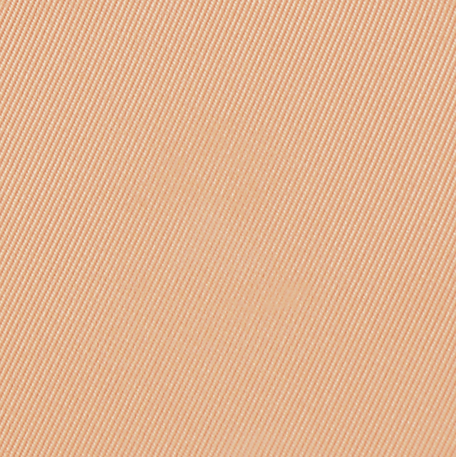 Eiluj Beauty Powder Foundation Beige Sole Dual Powder Foundation