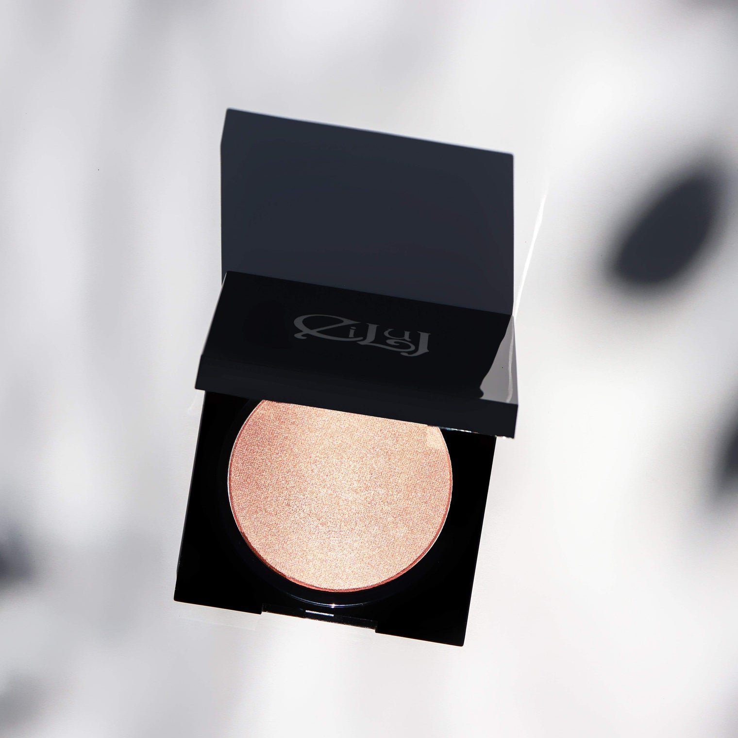 Eiluj Beauty Powder All Over Shimmer Powder