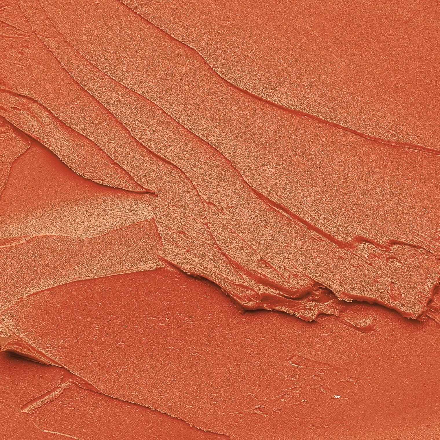 Eiluj Beauty Lipstick Hazelnut Lip Envy Long Wear Lipstick