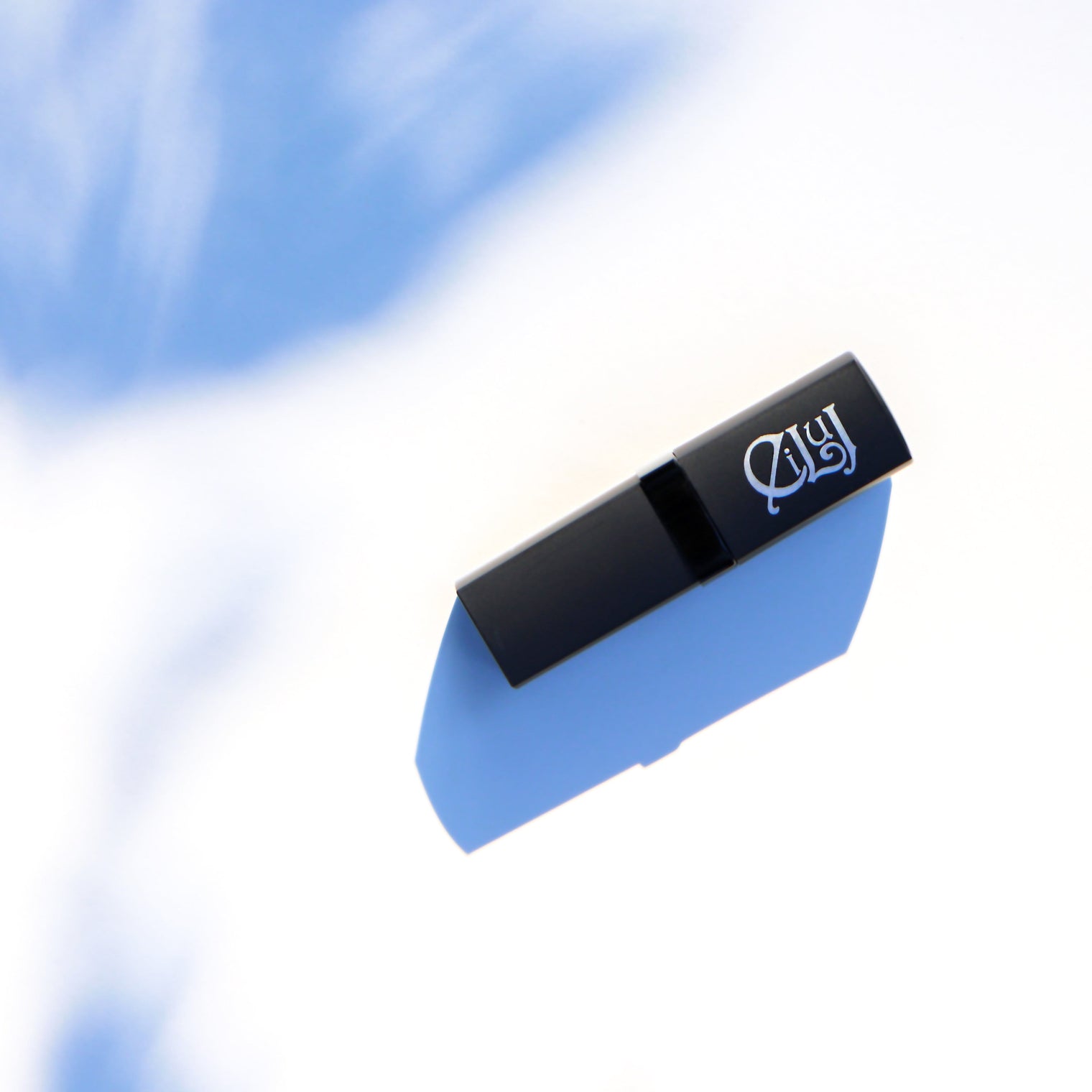 Eiluj Beauty Lipstick Luxury Lipstick