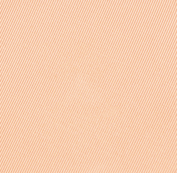 Eiluj Beauty Powder Foundation Maison Blanc Dual Powder Foundation