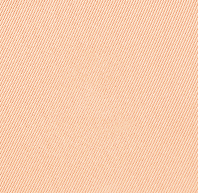 Eiluj Beauty Powder Foundation Maison Blanc Dual Powder Foundation