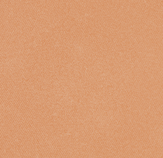 Eiluj Beauty Bronzer Beauty Bronzer