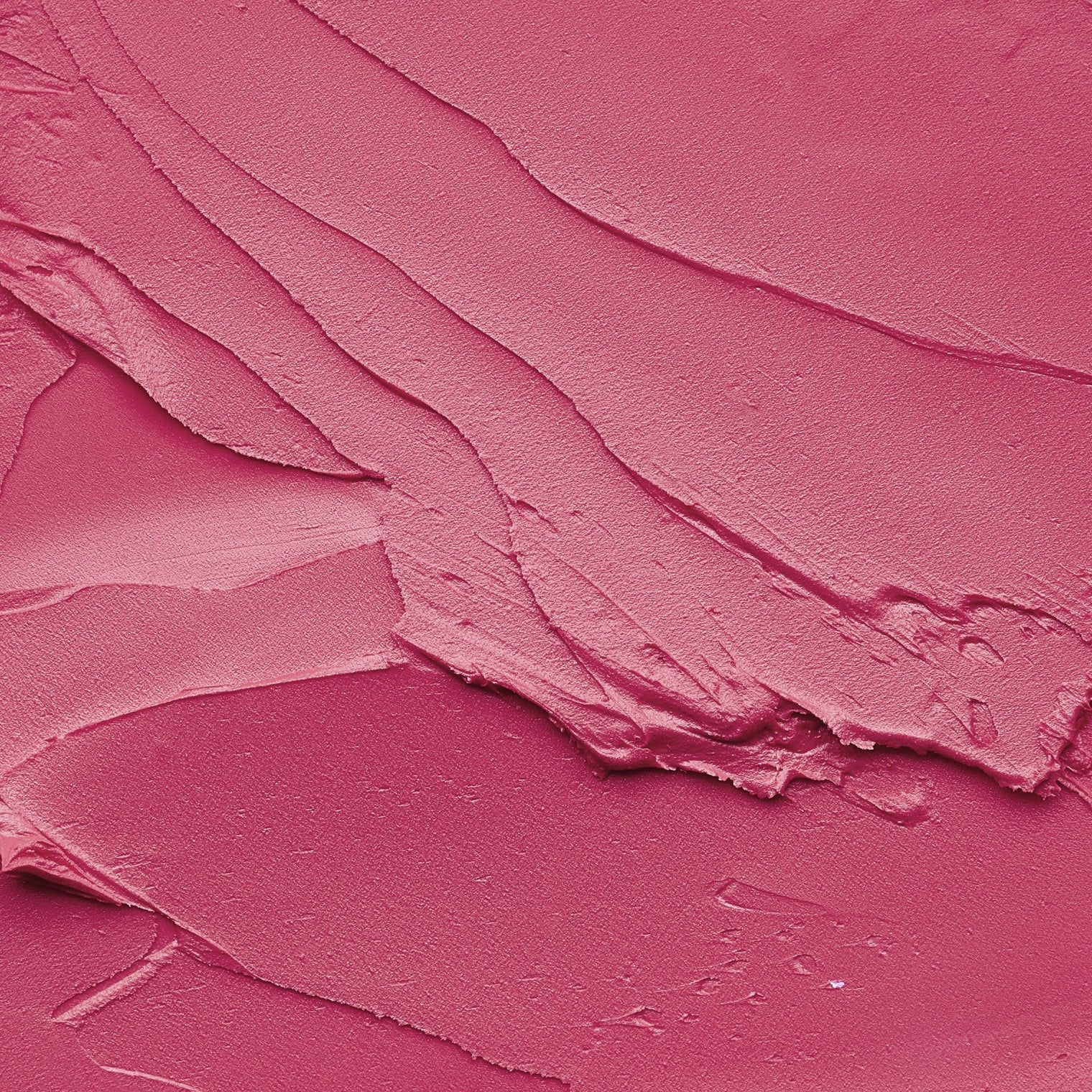 Eiluj Beauty Lipstick Wild Rose Lip Envy Long Wear Lipstick