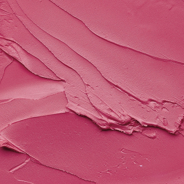 Eiluj Beauty Lipstick Wild Rose Lip Envy Long Wear Lipstick