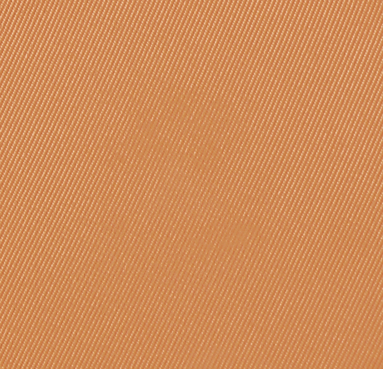 Eiluj Beauty Powder Foundation Tan Marquee Dual Powder Foundation