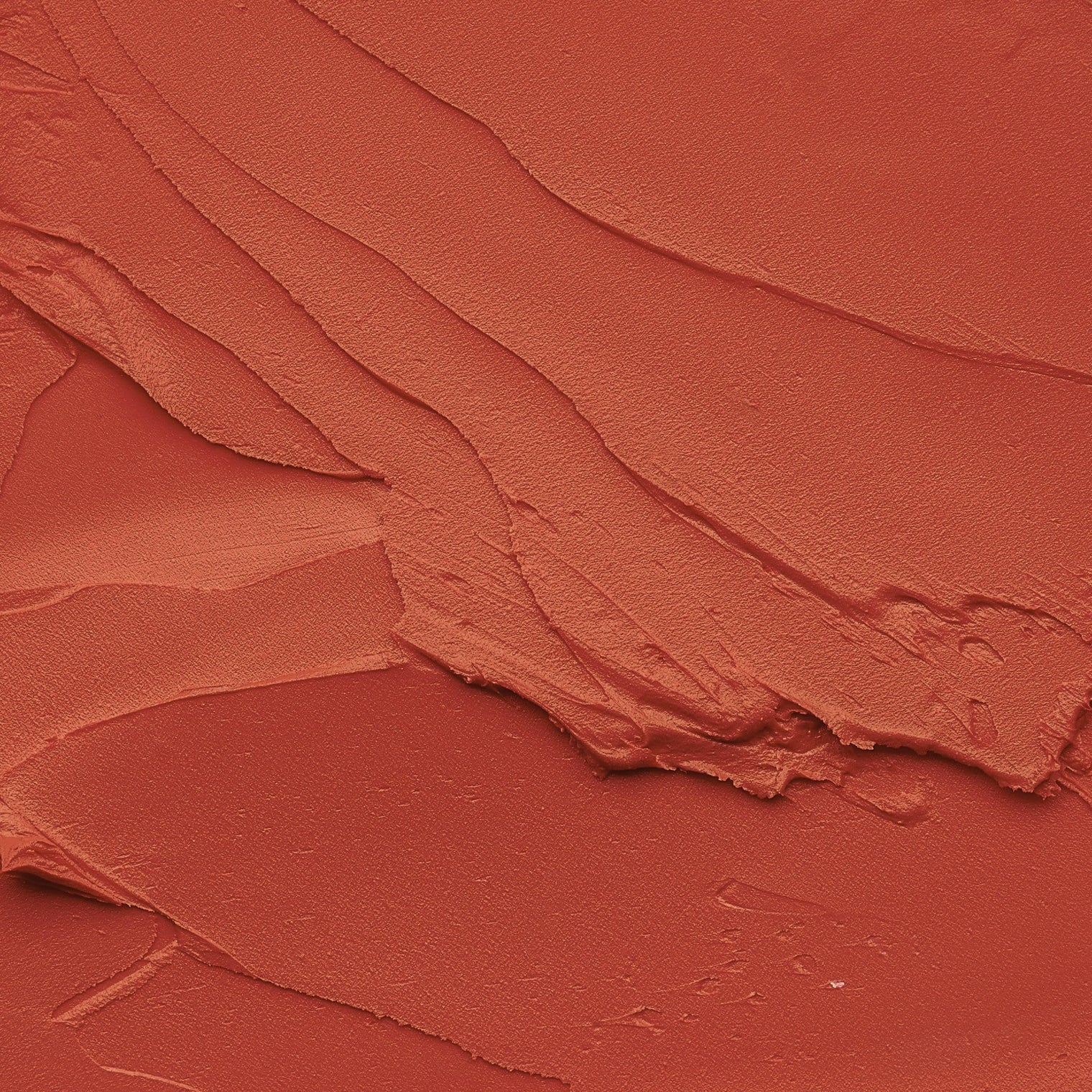 Eiluj Beauty Lipstick Tawny Lip Envy Long Wear Lipstick