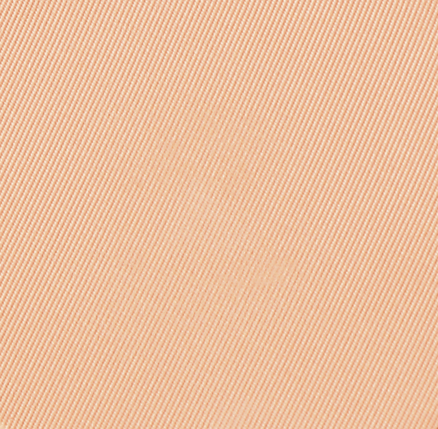 Eiluj Beauty Powder Foundation Warm Cashmere Dual Powder Foundation