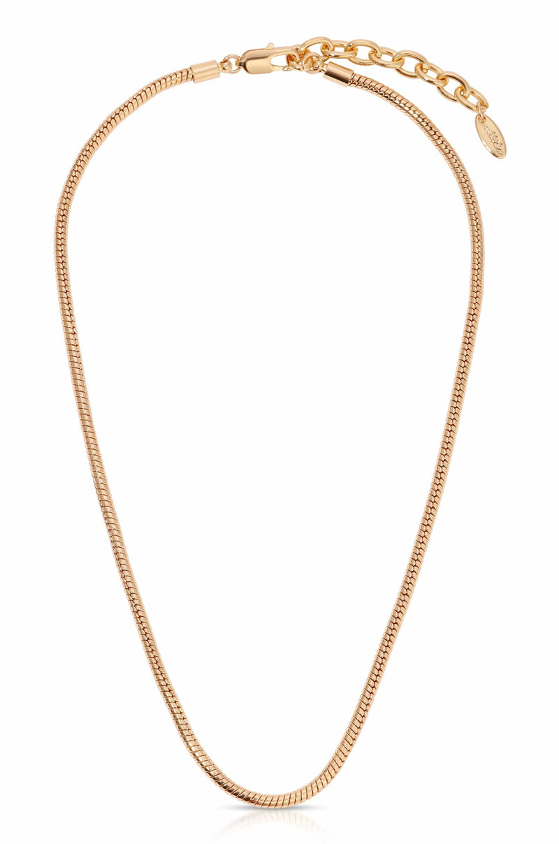 Ettika Necklaces 18k Gold Plated / One Size Classic 18k Gold Plated Snake Chain Necklace
