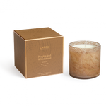 Lafco Candle Pumpkin Seed & Sandalwood Lafco Holiday Signature Candle 15.5 oz