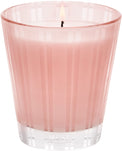 Nest Candle Classic Candle 8.1 oz