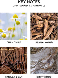 Nest Candle Classic Candle 8.1 oz