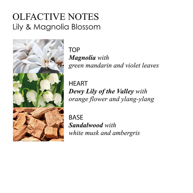 Molton Brown Body Lotion Body Lotion 300ml