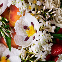 Molton Brown Body Lotion Body Lotion 300ml