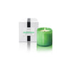 Lafco Candle Mint Tisane Classic 6.5oz Candle