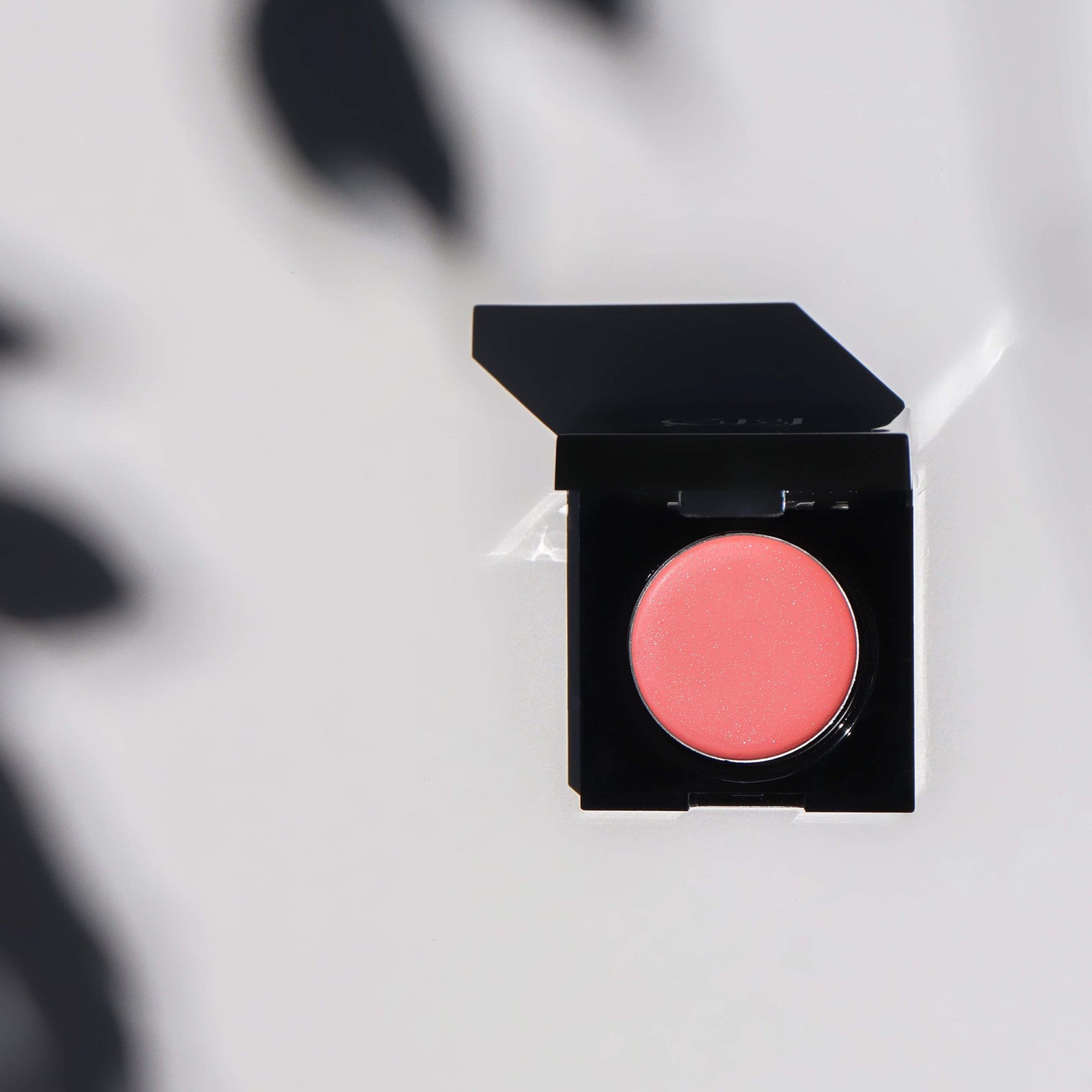 Eiluj Beauty Blush Blush