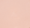 Eiluj Beauty Powder Foundation Opaline Beige Dual Powder Foundation
