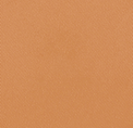 Eiluj Beauty Powder Foundation Tan Marquee Dual Powder Foundation